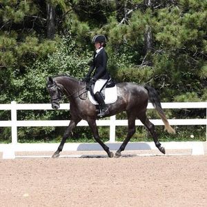 Meet your Posher, Kate